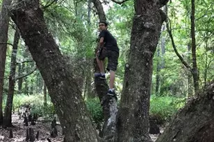 49 Fenny Bosk Trail, Venus, FL 33960 - Photo 23