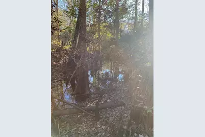 49 Fenny Bosk Trail, Venus, FL 33960 - Photo 17