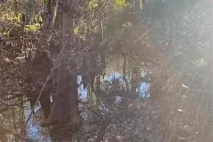 49 Fenny Bosk Trail, Venus, FL 33960 - Photo 17