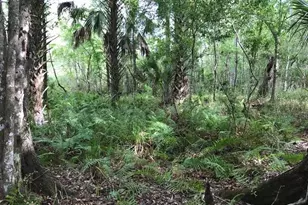 49 Fenny Bosk Trail, Venus, FL 33960 - Photo 29