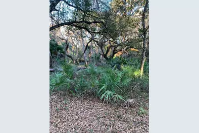 49 Fenny Bosk Trail, Venus, FL 33960 - Photo 1