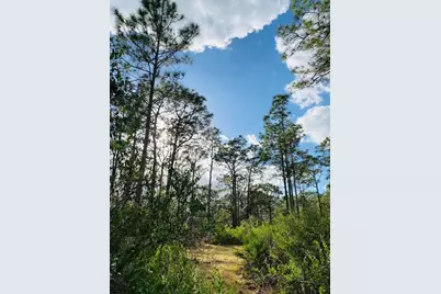 49 Fenny Bosk Trail, Venus, FL 33960 - Photo 37