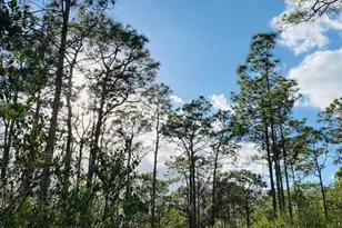 49 Fenny Bosk Trail, Venus, FL 33960 - Photo 37