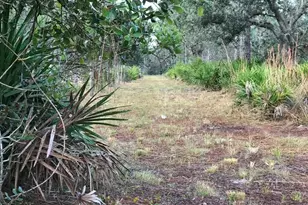 49 Fenny Bosk Trail, Venus, FL 33960 - Photo 21