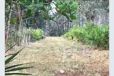 49 Fenny Bosk Trail, Venus, FL 33960 - Photo 11