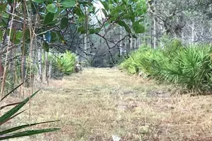 49 Fenny Bosk Trail, Venus, FL 33960 - Photo 11