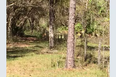 49 Fenny Bosk Trail, Venus, FL 33960 - Photo 39