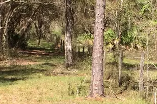 49 Fenny Bosk Trail, Venus, FL 33960 - Photo 39