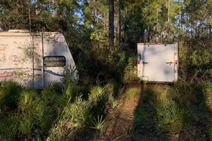 49 Fenny Bosk Trail, Venus, FL 33960 - Photo 15