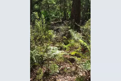 49 Fenny Bosk Trail, Venus, FL 33960 - Photo 31