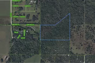 49 Fenny Bosk Trail, Venus, FL 33960 - Photo 5