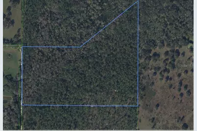 49 Fenny Bosk Trail, Venus, FL 33960 - Photo 3