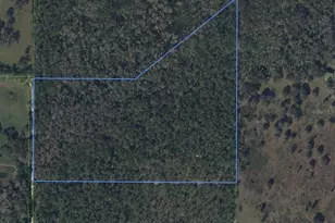 49 Fenny Bosk Trail, Venus, FL 33960 - Photo 3