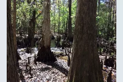 49 Fenny Bosk Trail, Venus, FL 33960 - Photo 35