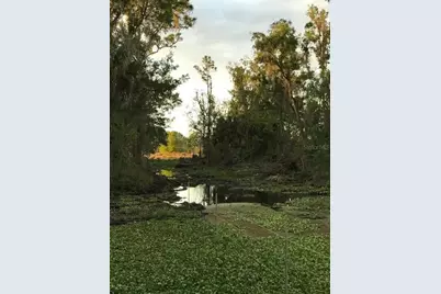 49 Fenny Bosk Trail, Venus, FL 33960 - Photo 27