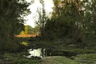 49 Fenny Bosk Trail, Venus, FL 33960 - Photo 27