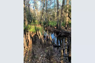 49 Fenny Bosk Trail, Venus, FL 33960 - Photo 9