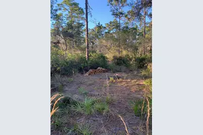 49 Fenny Bosk Trail, Venus, FL 33960 - Photo 13