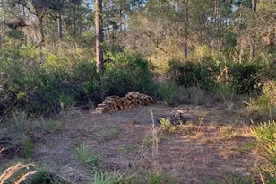 49 Fenny Bosk Trail, Venus, FL 33960 - Photo 13