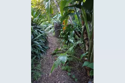 2409 Berkshire Drive, Winter Haven, FL 33884 - Photo 39