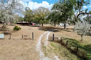 15210 Rough Diamond Ranch Rd, Lithia, FL 33547 - Photo 77