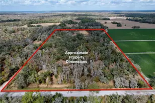 15210 Rough Diamond Ranch Rd, Lithia, FL 33547 - Photo 79