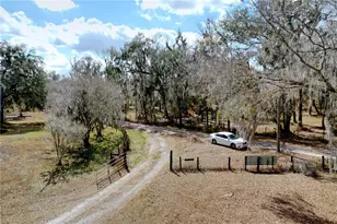 15210 Rough Diamond Ranch Rd, Lithia, FL 33547 - Photo 25