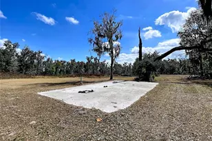 15210 Rough Diamond Ranch Rd, Lithia, FL 33547 - Photo 17