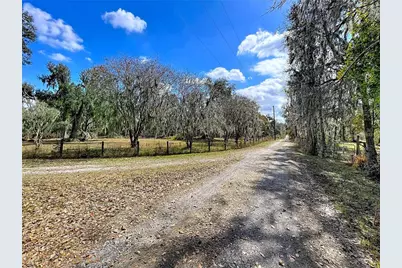 15210 Rough Diamond Ranch Road, Lithia, FL 33547 - Photo 19
