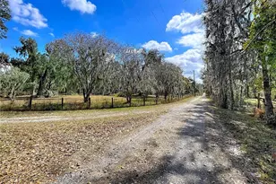 15210 Rough Diamond Ranch Rd, Lithia, FL 33547 - Photo 19