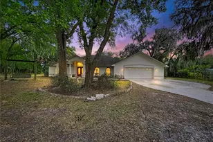 8402 Southwood Pines St, Lithia, FL 33547 - Photo 1