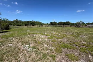 10628 Sportsman Trail, Lakeland, FL 33809 - Photo 21