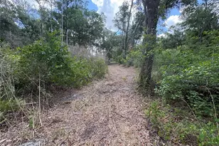 12708 Farmettes Rd, Lakeland, FL 33809 - Photo 27