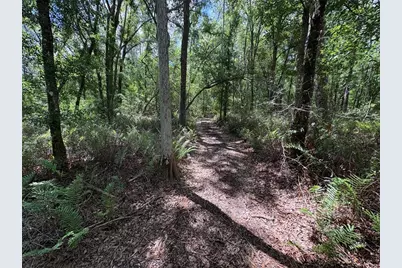 12708 Farmettes Road, Lakeland, FL 33809 - Photo 29