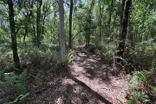 12708 Farmettes Rd, Lakeland, FL 33809 - Photo 29