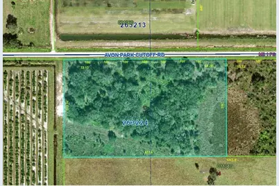 Avon Park Cutoff Road, Fort Meade, FL 33841 - Photo 9