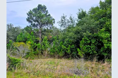 Avon Park Cutoff Road, Fort Meade, FL 33841 - Photo 5