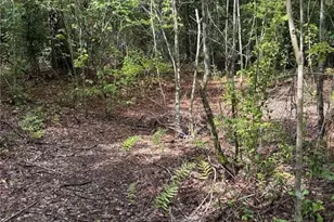 11441 Ko Dr, Lakeland, FL 33809 - Photo 23