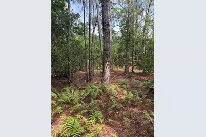 11441 Ko Drive, Lakeland, FL 33809 - Photo 25