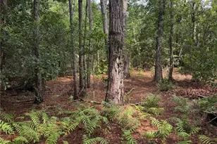 11441 Ko Dr, Lakeland, FL 33809 - Photo 25