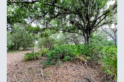 Avon-Park Cutoff Road, Fort Meade, FL 33841 - Photo 3