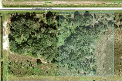 0 Avon Park Cutoff Road, Fort Meade, FL 33841 - Photo 3