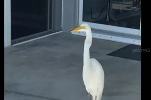 18289 Wolbrette Cir, Port Charlotte, FL 33948 - Photo 37