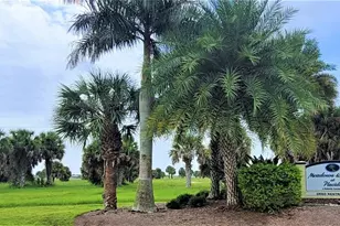 12098 & 12106 Salitpa Ct, Placida, FL 33946 - Photo 1