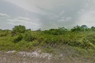 13023 Deepwoods Ave, Port Charlotte, FL 33981 - Photo 1