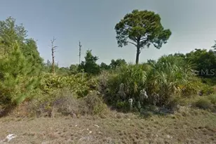 14252 Guadalcanal Ave, Port Charlotte, FL 33953 - Photo 1