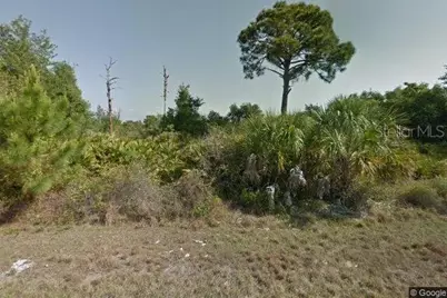 14252 Guadalcanal Avenue, Port Charlotte, FL 33953 - Photo 1