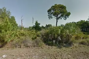 14252 Guadalcanal Ave, Port Charlotte, FL 33953 - Photo 1