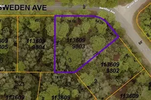 Sweden Ave, North Port, FL 34288 - Photo 1