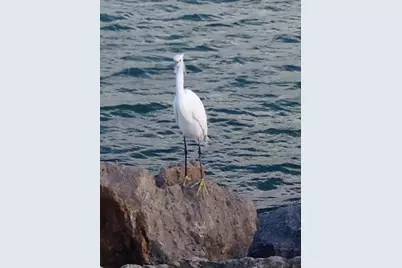 4075 Gillot Boulevard, Port Charlotte, FL 33981 - Photo 9